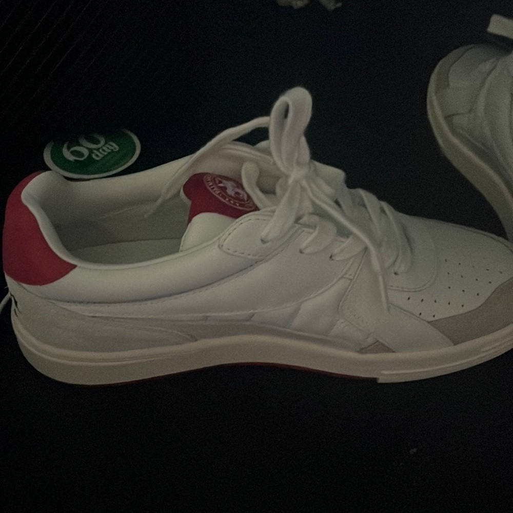 Palm angles low top university